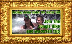 Jungle Hiking and Waterfall Trip