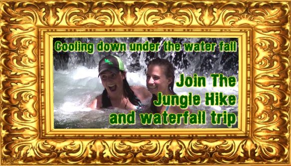 Jungle Hiking and Waterfall Trip