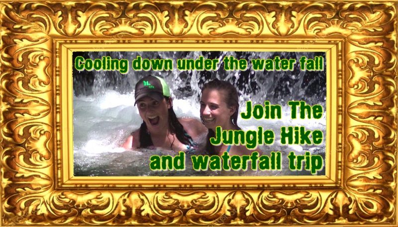 Jungle Hiking and Waterfall Trip