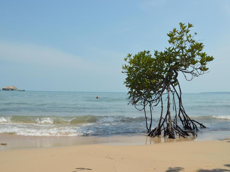 Bungalow, Front Beach