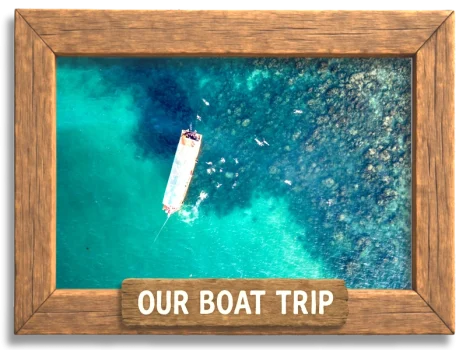 Our Boat Trip, Snorkeling at the reef.